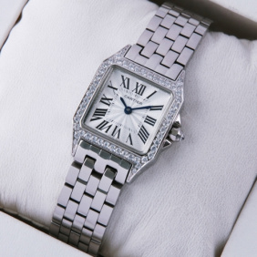 Fake SWISS Cartier Santos Demoiselle Stainless Steel Ladies Watches WF9004Y8 Cheap
