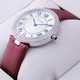 Replica Replica Ronde Solo De Cartier Diamond Stainless Steel Burgundy Stain Strap Ladies Watches