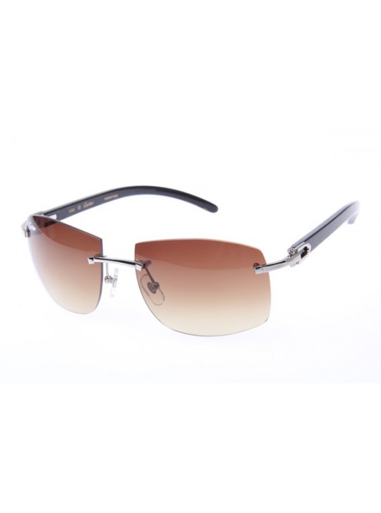 Cartier 4189705 Black Cattle Horn sunglasses in Silvler