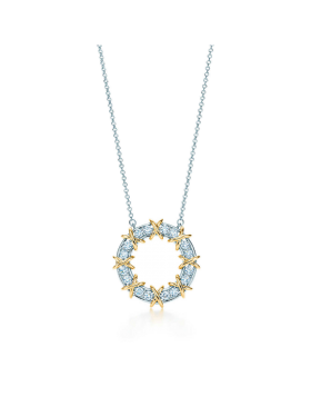 Tiffany Schlumberger Sixteen Stone Circle Pendant Chain Necklace Fine Jewelry