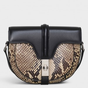 Celine Small Besace 16 Bag In Python And Satinated Calfskin 