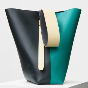 Celine Small Twisted Cabas Bag In Black/Green Calfskin