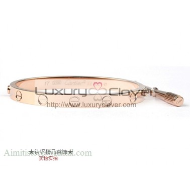 Cartier 18kt Love Bangle with Screwdriver For Women