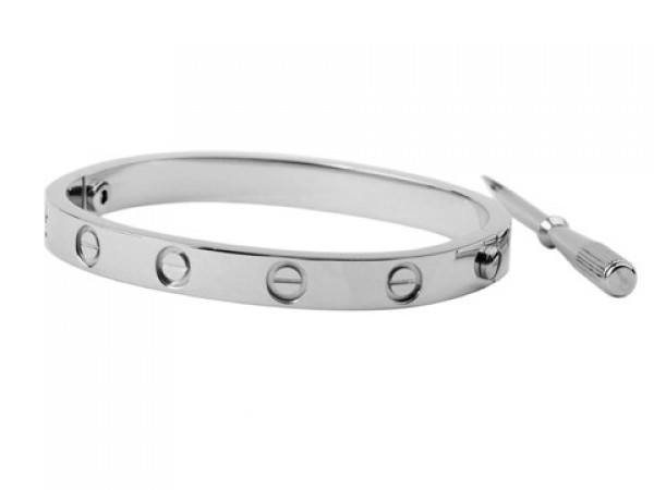 Do you prefer the Love bracelet or the Clou de Cartier bracelet? – Les  Pierres de Julie