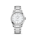 fake Omega Seamaster Aqua Terra Automatic Watch 231.10.39.21.55.002