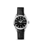 fake Omega Seamaster Aqua Terra Automatic Watch 231.13.34.20.01.001