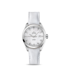 fake Omega Seamaster Aqua Terra Automatic Watch 231.13.34.20.55.001