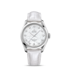 fake Omega Seamaster Aqua Terra Automatic Watch 231.13.39.21.55.002