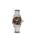 fake Omega Seamaster Aqua Terra Automatic Watch 231.20.30.20.06.003