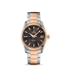 fake Omega Seamaster Aqua Terra Automatic Watch 231.20.39.21.06.001