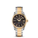fake Omega Seamaster Aqua Terra Automatic Watch 231.20.39.21.06.002