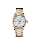 fake Omega Seamaster Aqua Terra Automatic Watch 231.20.39.21.55.002