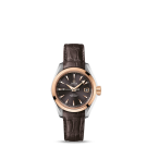 fake Omega Seamaster Aqua Terra Automatic Watch 231.23.30.20.06.001