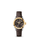 fake Omega Seamaster Aqua Terra Automatic Watch 231.23.30.20.06.002
