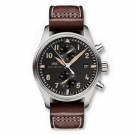 Replica IWC Pilot's Watch Chronograph Collectors Watch Edition IW387808