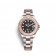 Replica Rolex Yacht-Master 37 Oystersteel 18 ct Everose gold M268621-0004