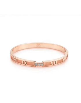 Tiffany Atlas Ladies' Closed Hinged Silver Pink/ Yellow Gold Bangle Crystals Review UK Sale GRP03265/GRP03235